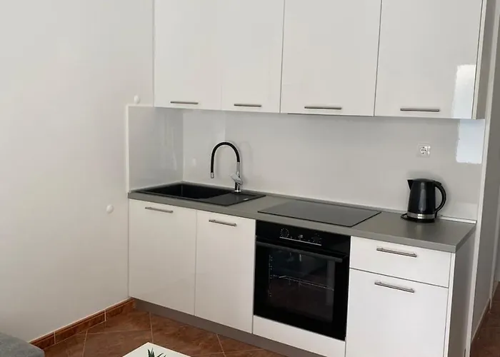 公寓 Stica- Peljesac