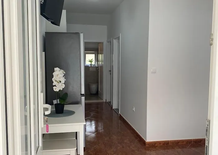 Stica- Peljesac Janjina